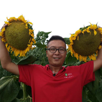 Introduce SH363 and collaborate with SUNBOY to lay out a nationwide plan.