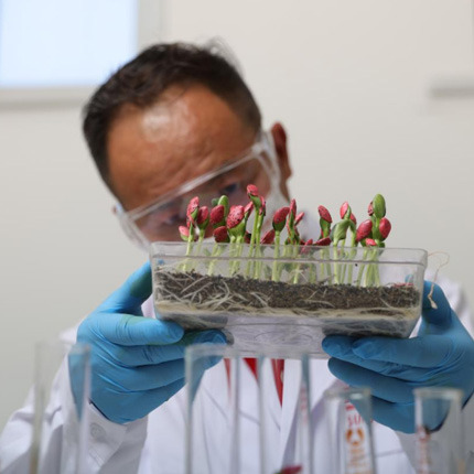 Integrate the entire chain and establish germplasm resource bank.